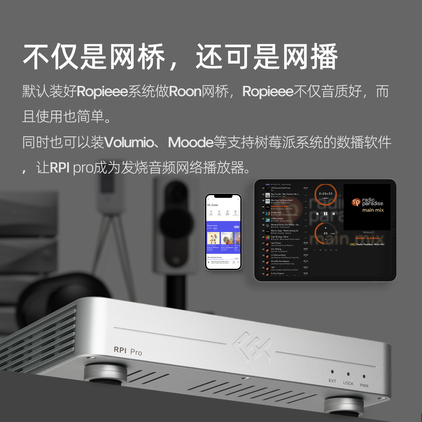 Tiger Fish Audio RPI Pro Strea - Audio Music Player ulasan dan harga