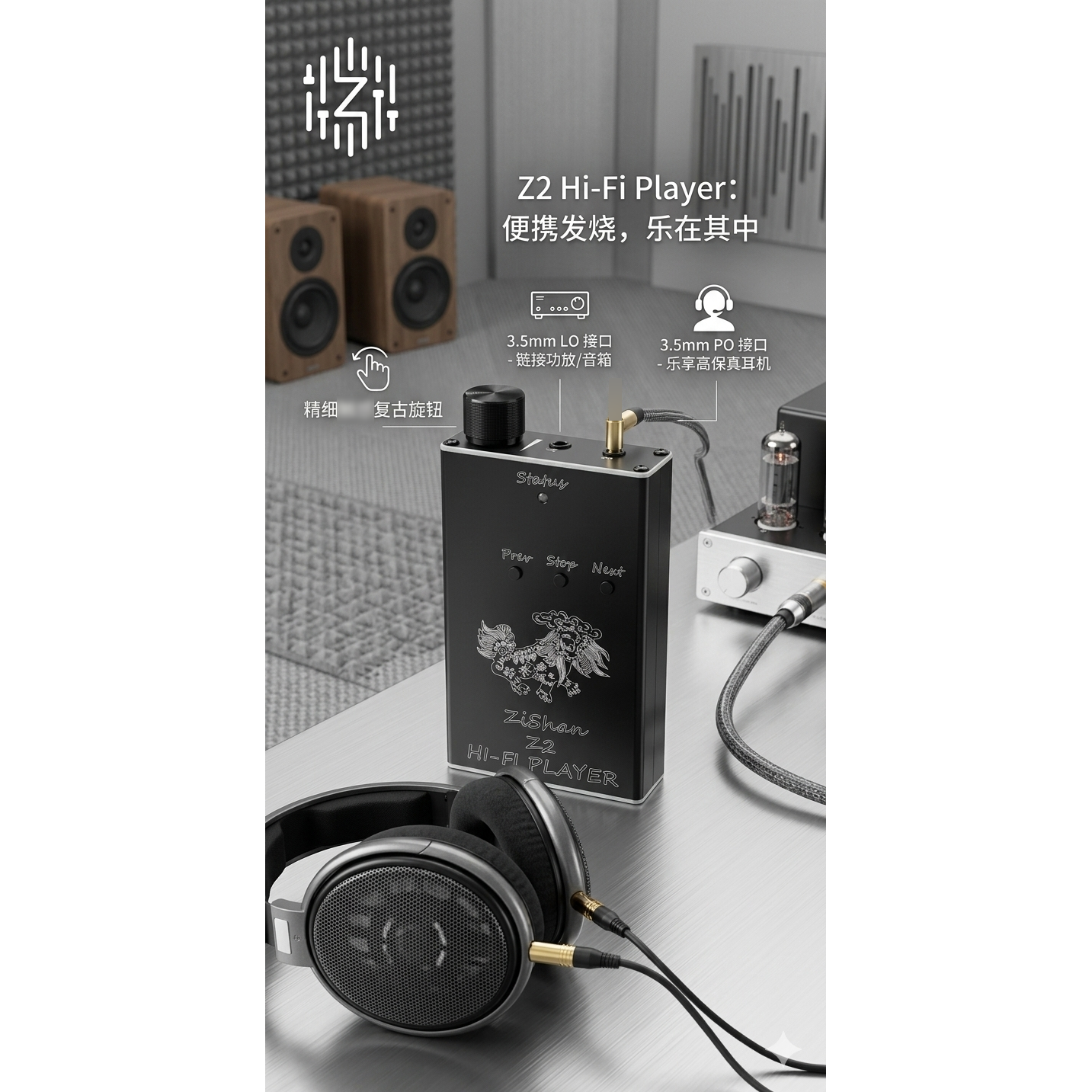 Zishan Z2 hifi DSD hard soluti - Audio Music Player ulasan dan harga